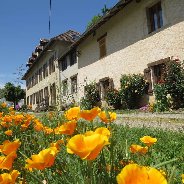 Domaine Sainte Anne