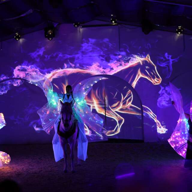 Cabarets voor ruiters in de Camargue