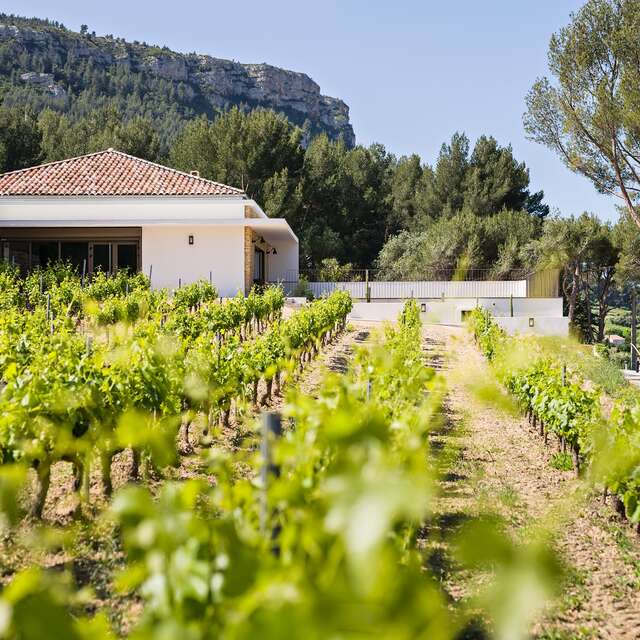 La Dona Tigana : visite d'un vignoble AOC et dégustation de 4 vins