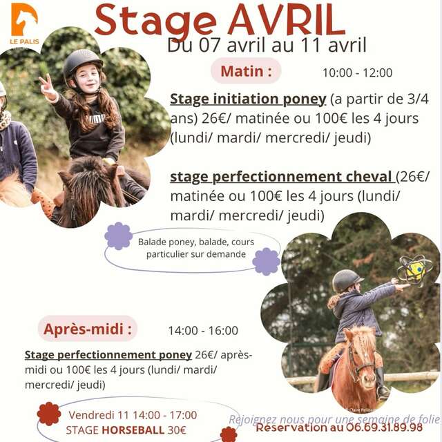 Stages de poney et cheval au mois d'avril - Centre équestre 'Le Palis'