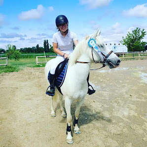 Tous en selle ! (découverte du cheval et du poney)
