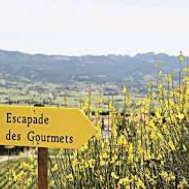 Gourmet Escapade