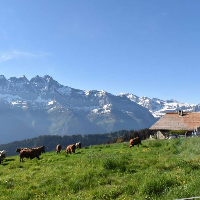 Morgins - La Chaux - Foilleuse - Morgins
