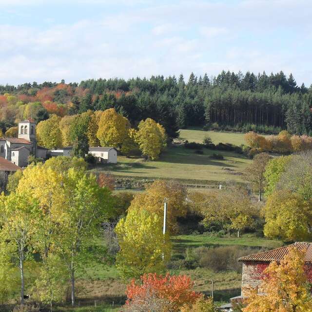 Marche  des châtaignes