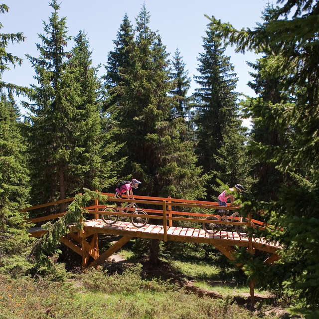 Downhill MTB - Dré dans l'pentu