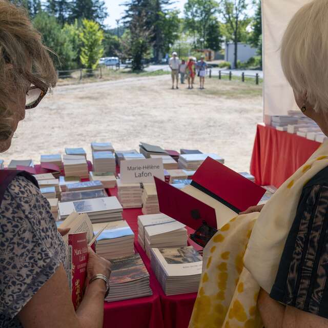 Lectures sous l'arbre