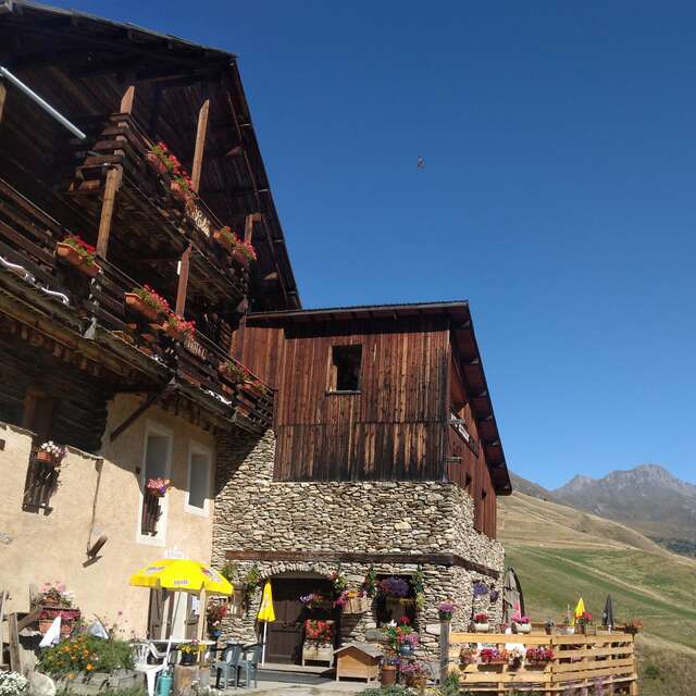 La Lobio