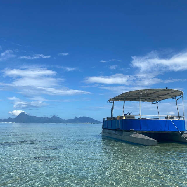 Kaoriki Tours