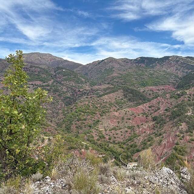 Faune et flore de la vallée de la Roudoule
