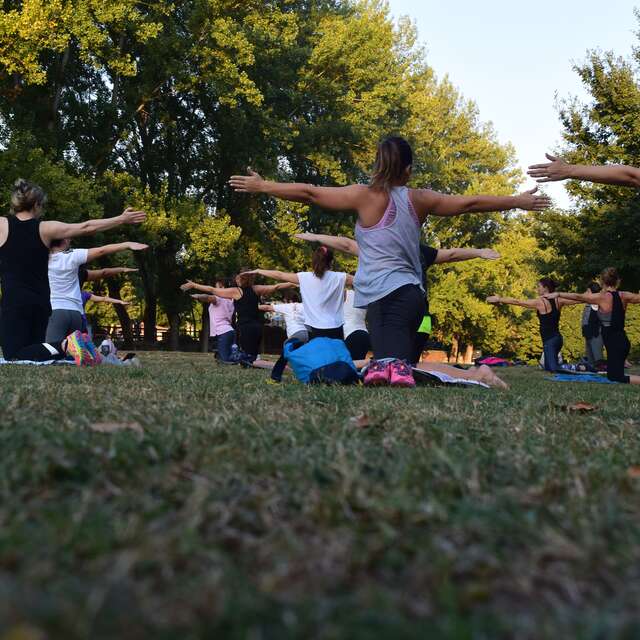 Cours de yoga en plein air