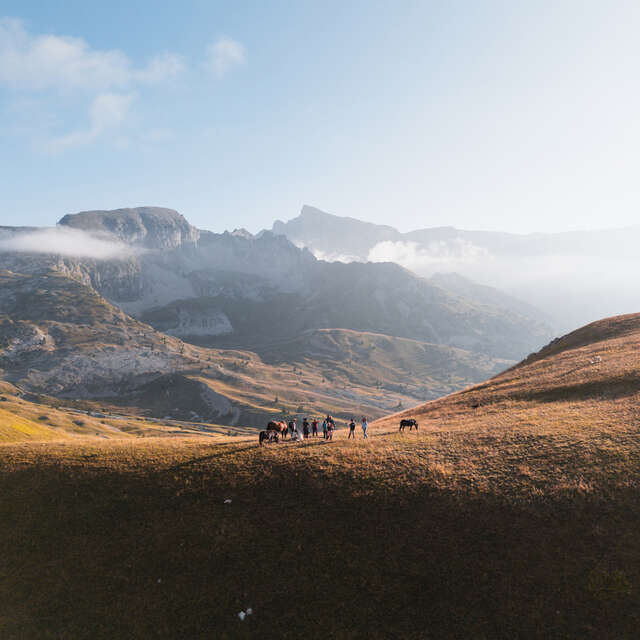 Zen Agritude : Rencontre Pastoralisme avec Mathilde, bergère au col de Rabou