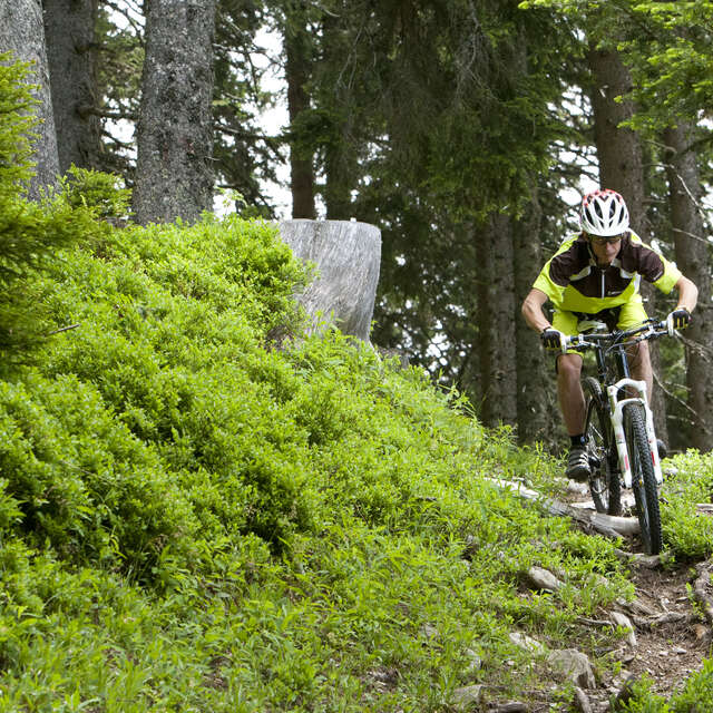 Enduro MTB - L'UTB