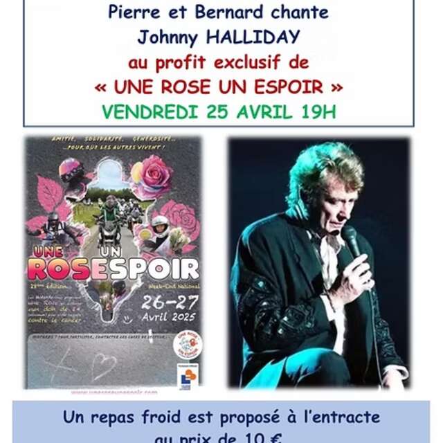 Pierre et Bernard chantent Johnny Halliday
