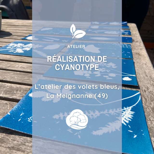 Atelier : Réalisation de cyanotype