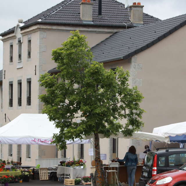 Rendez-vous sur Mars avec Planète Rouge, son marché, sa boutique...