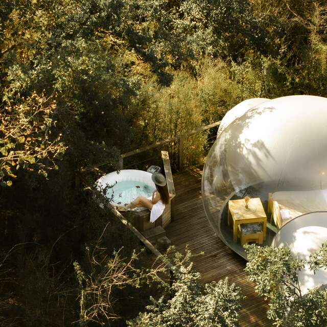 Les Bulles des Géorennes