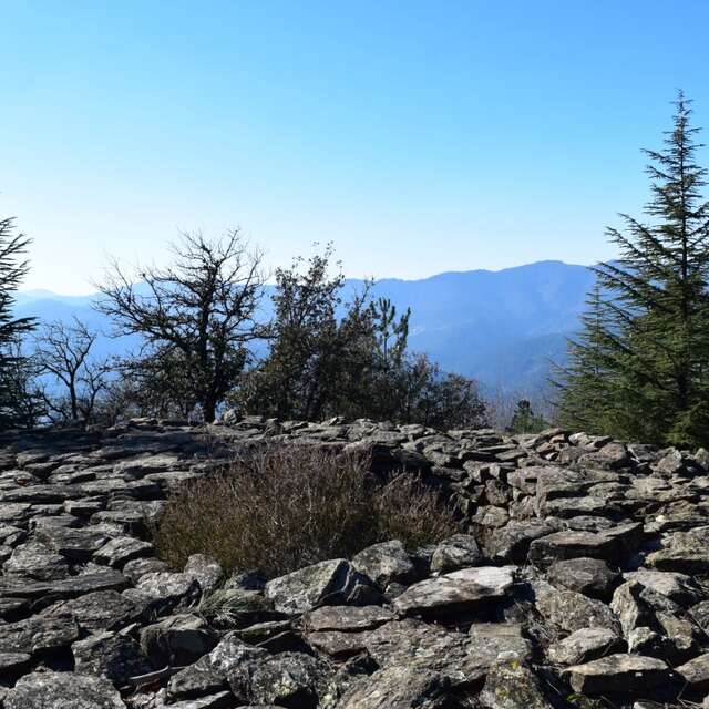 Le Tumulus de l'Elzière