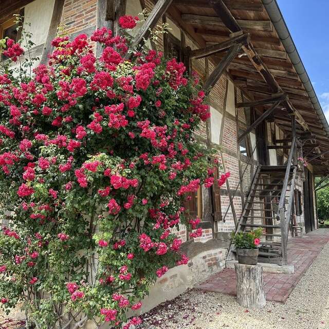 La ferme du Violay