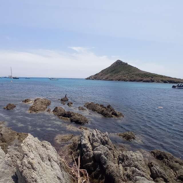 Sur les traces des Douaniers