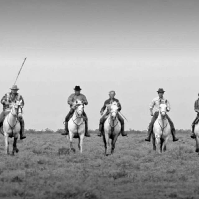 Balade à cheval à la manade Saliérène