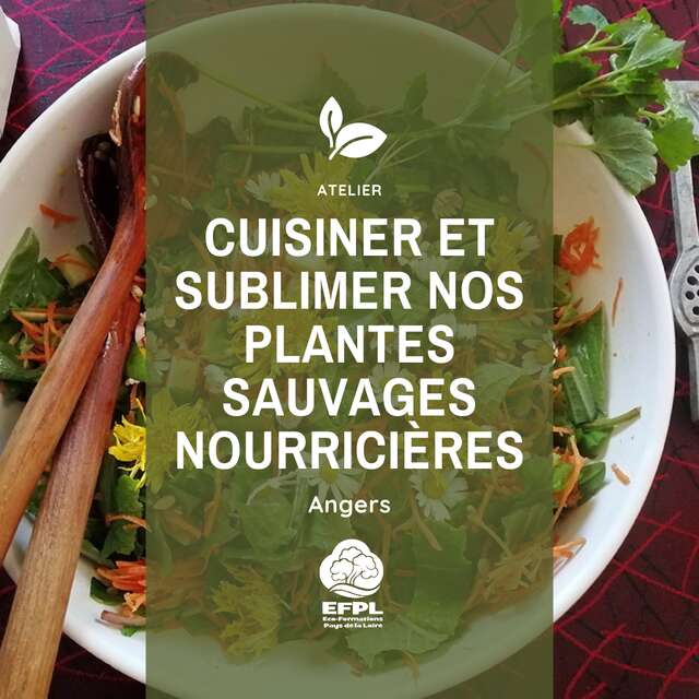 Atelier : Cuisiner et sublimer nos plantes sauvages nourricières