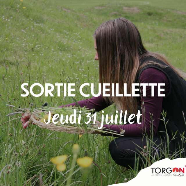 Sortie Cueillette