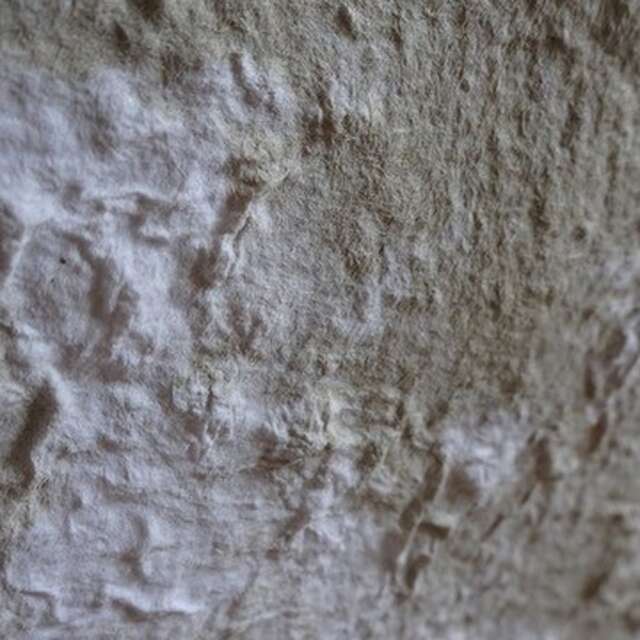 Stage pâte à papier