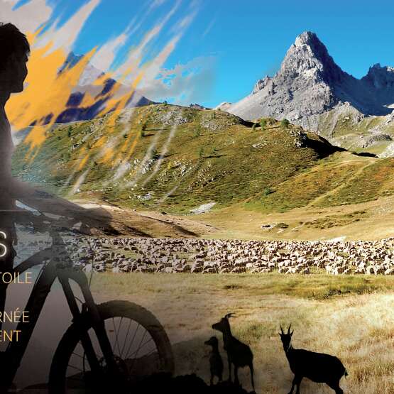 Alligatti Biking