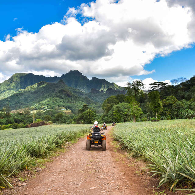 Route Des Ananas