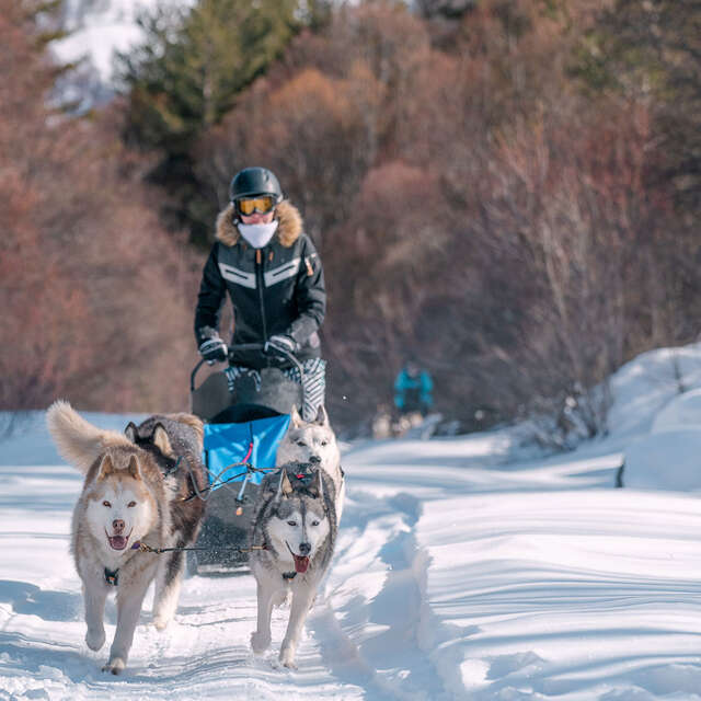 Azak Mushing
