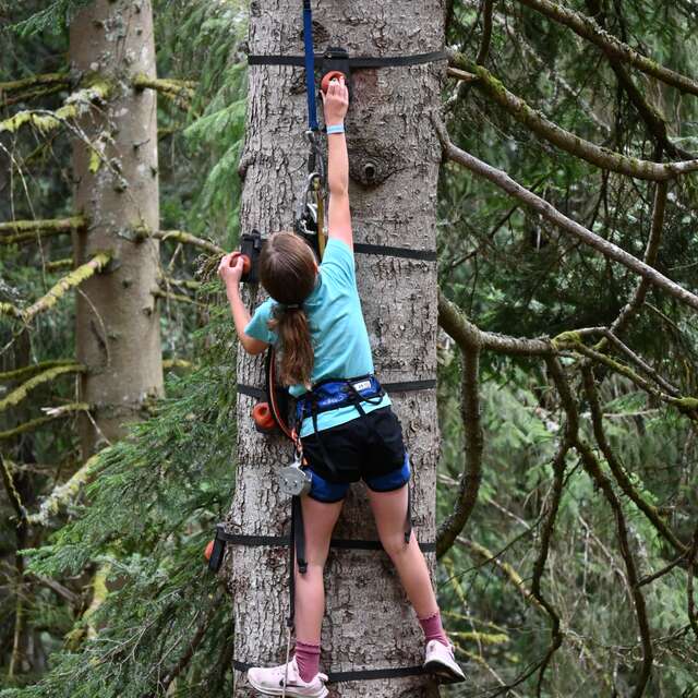 Toutée Aventure