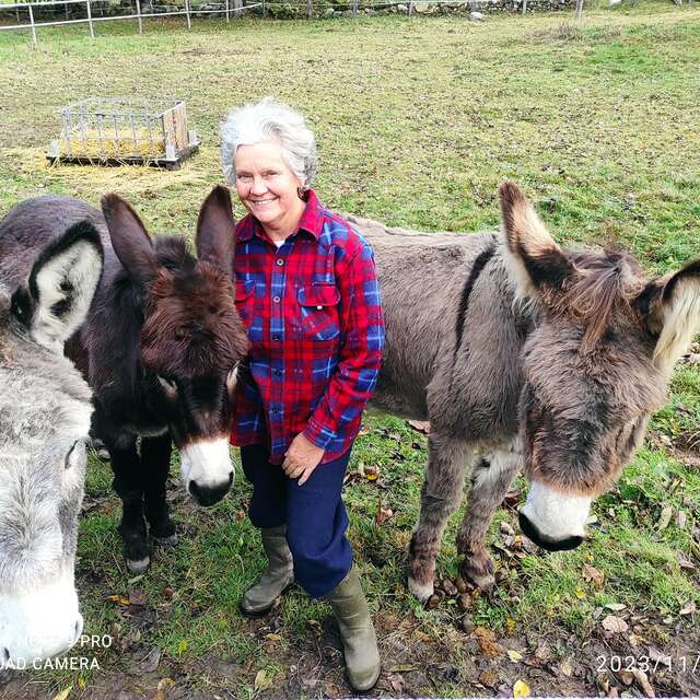 Explorez la vie à la ferme : ânes, vaches et glaces maison !