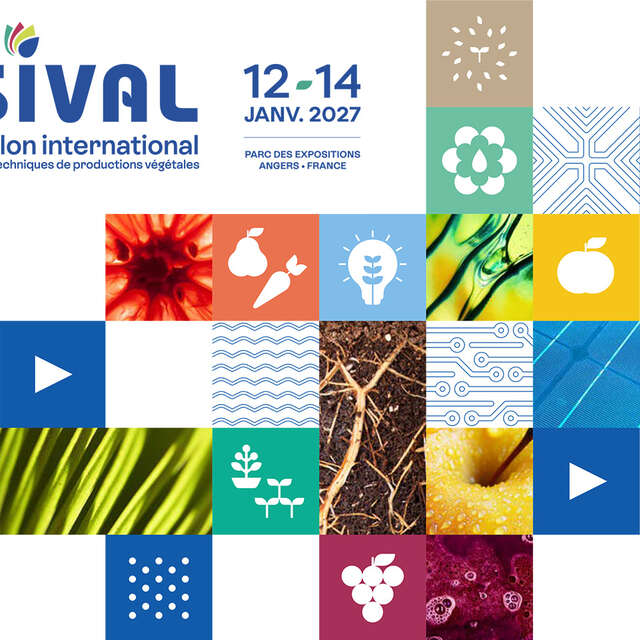 Salon International : Sival