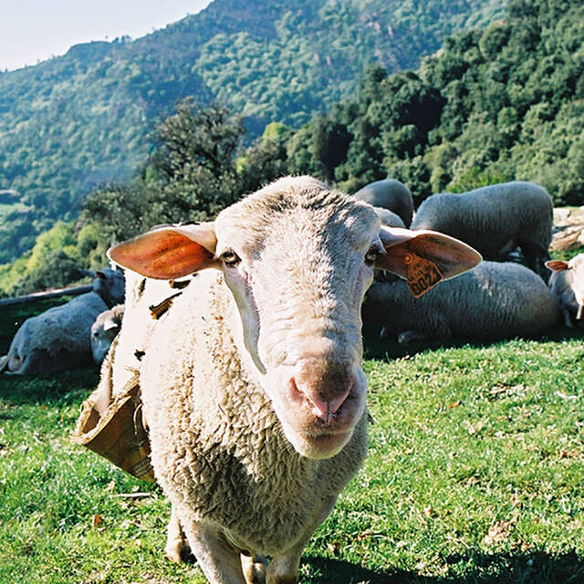 Visite d'une ferme autonome