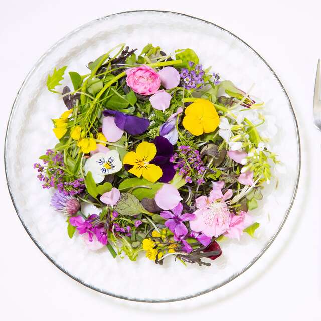 Atelier "Cuisine sauvage"