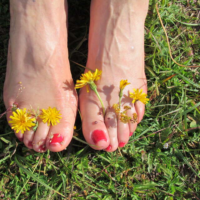 Yoga and energy : courses