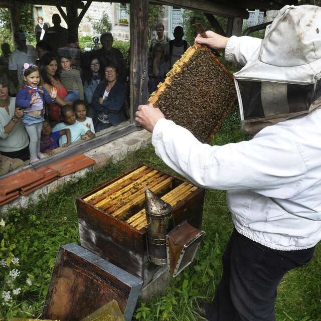 Visite de la Cité de l'Abeille et de la Casa dard d'art