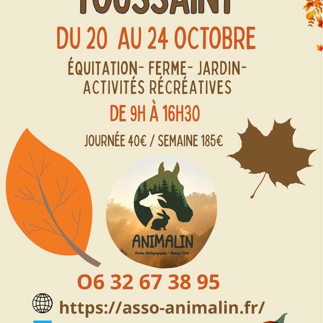 Stage d'automne à Animalin