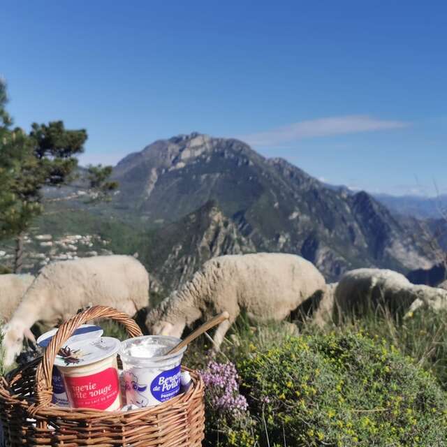 GAEC Bergerie de Porte Rouge
