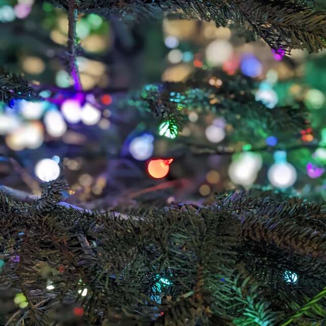 Noël féérique quartier Prado Paradis