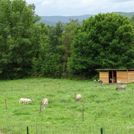 A la Ferme de Titou