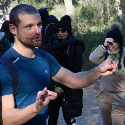 Naturopathic hike and poetry in Calanque of Sugiton (half-day)