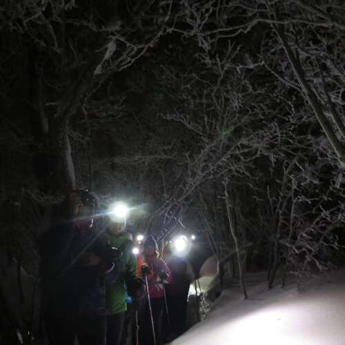 Sortie nocturne en raquettes - Himal
