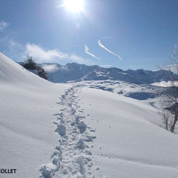Gourmet night snowshoe hike