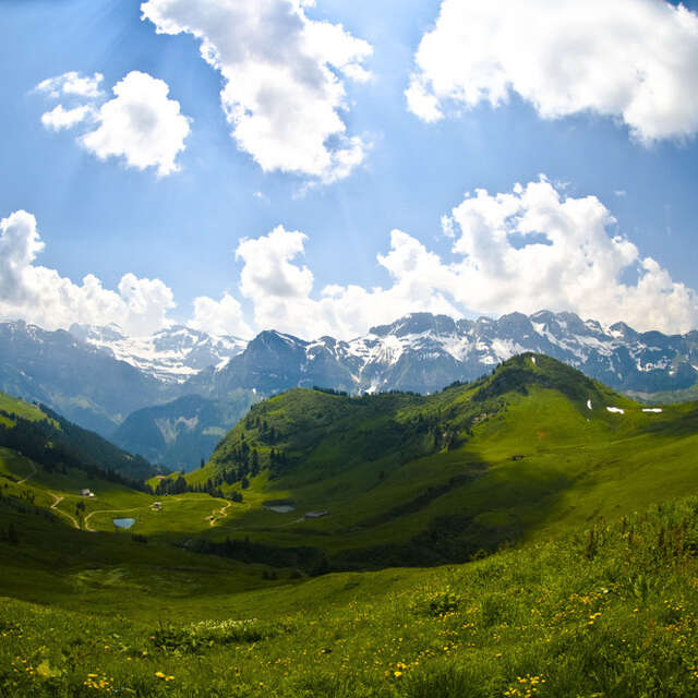 Parcours trail 4 noir : Col de Cou - Fornet