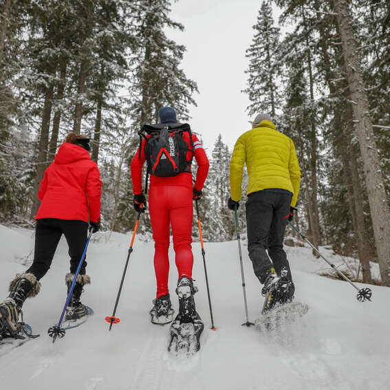 Snowshoe outing