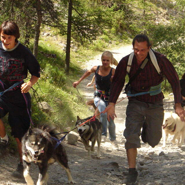 La Cani-rando - Allirand Sled Dogs