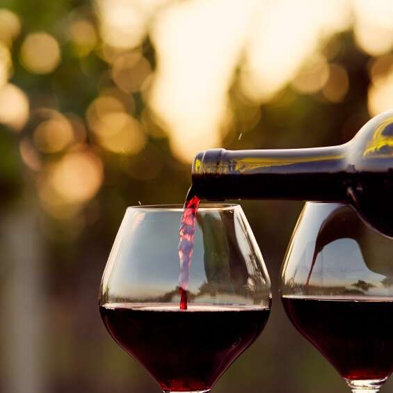 Fête du vin nouveau
