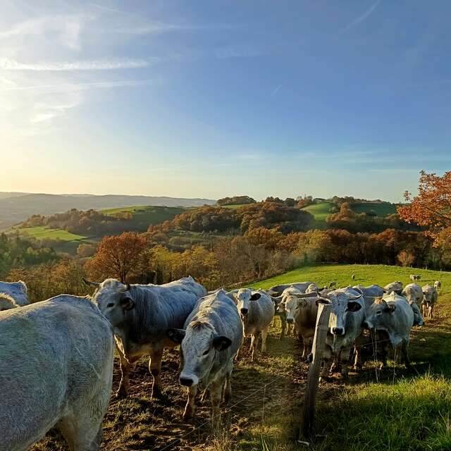 La ferme de Taux