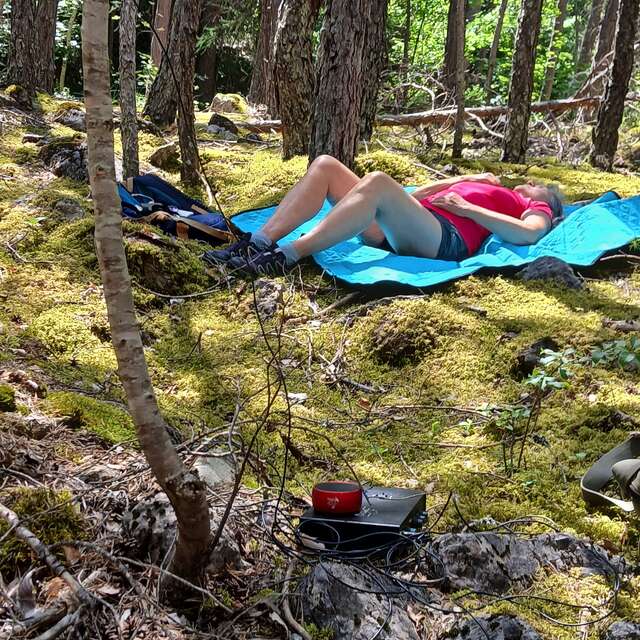 La forêt Arc-en-Ciel